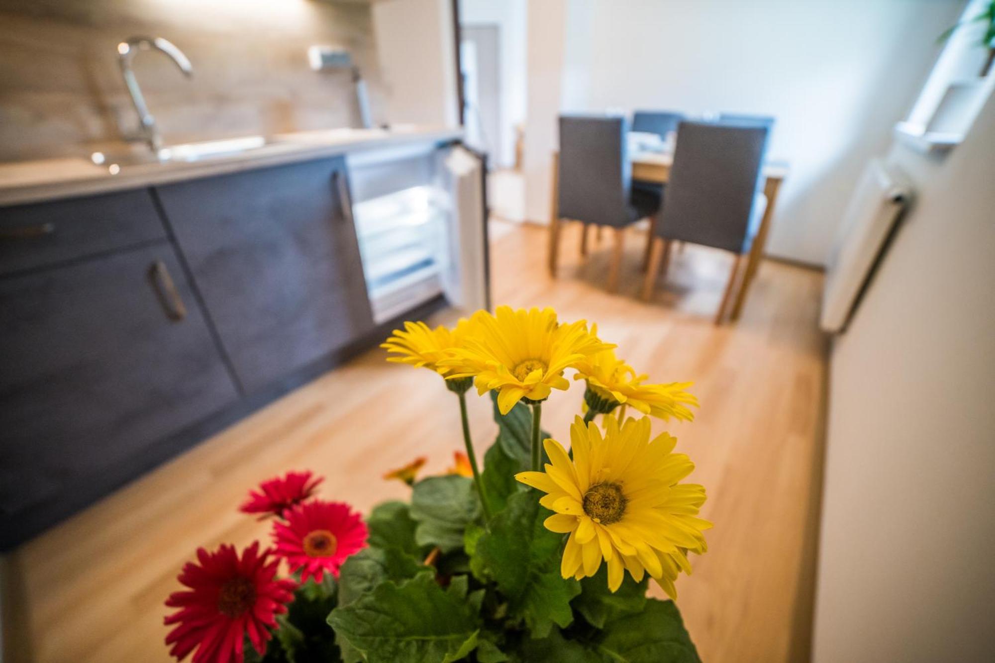 Apartmany Hasicarna Horni Vltavice Bagian luar foto