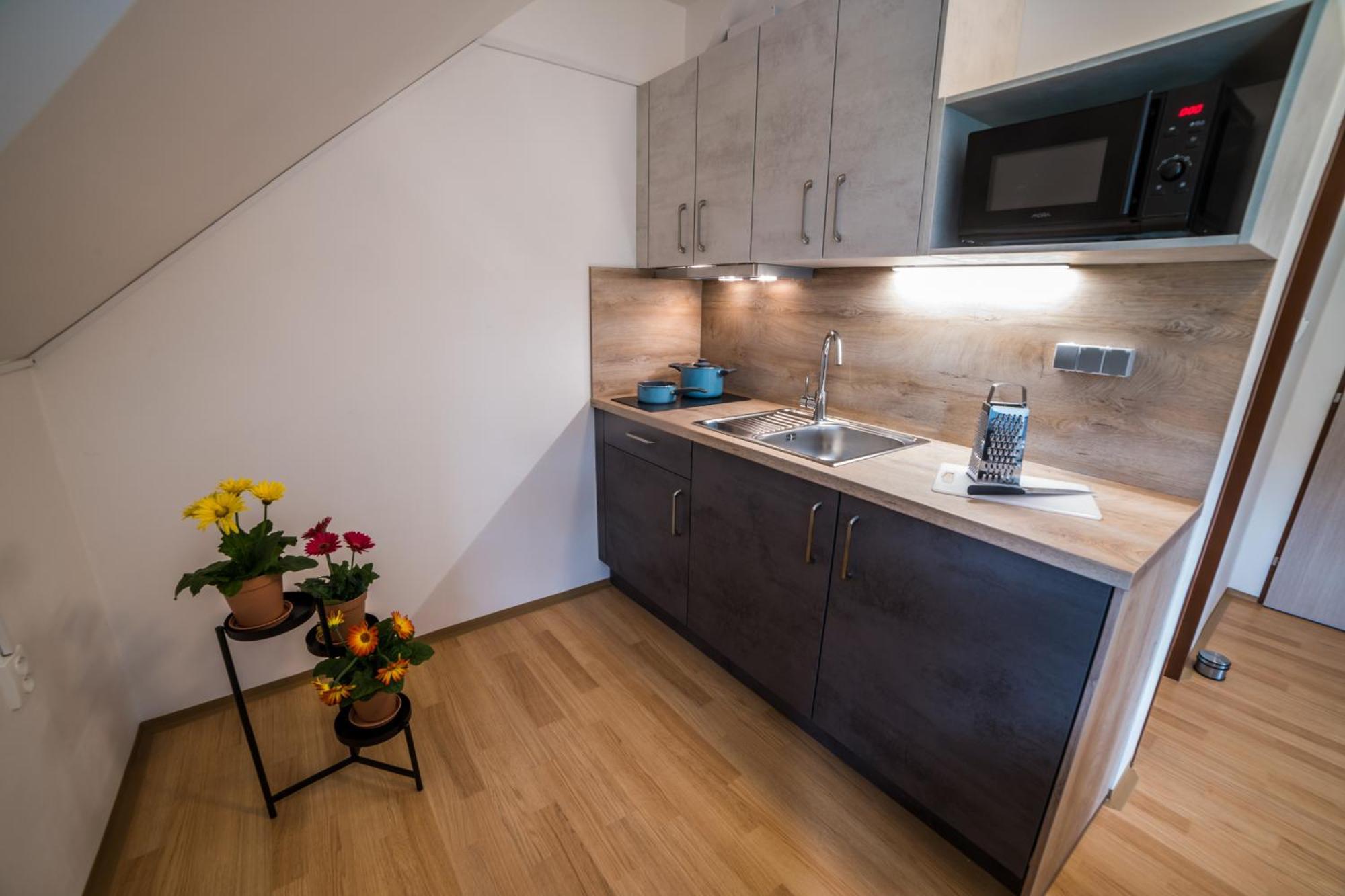 Apartmany Hasicarna Horni Vltavice Bagian luar foto